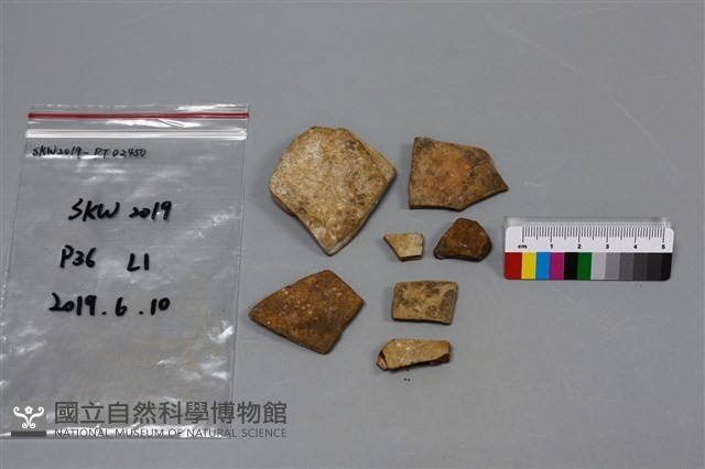 陶片藏品圖，第1張