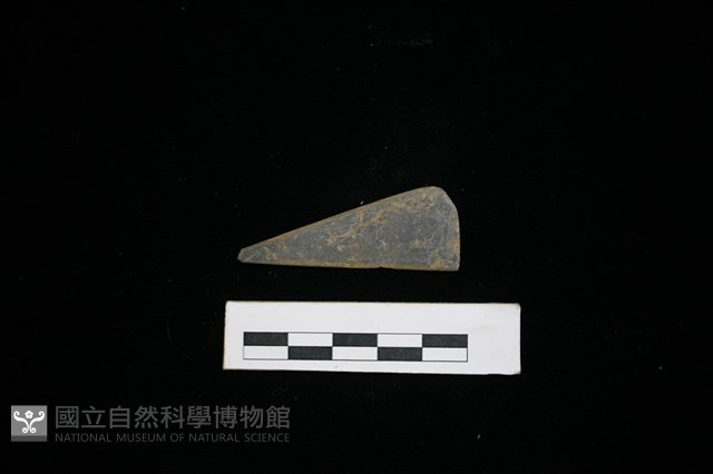 矛鏃形器藏品圖，第2張