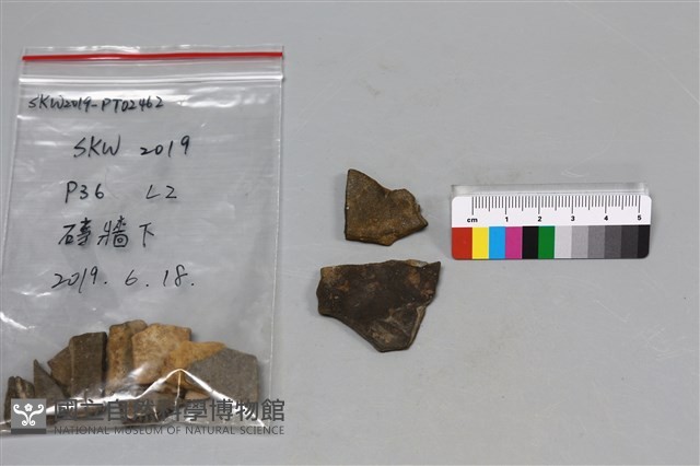 陶片藏品圖，第2張