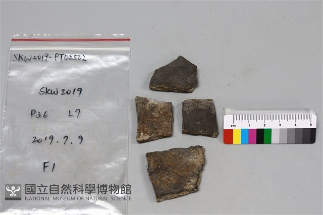 陶片藏品圖，第2張