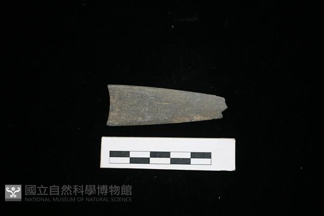 矛鏃形器藏品圖，第2張