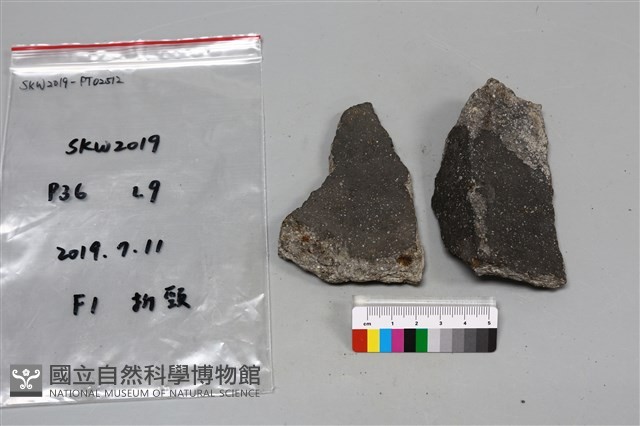 陶片藏品圖，第2張