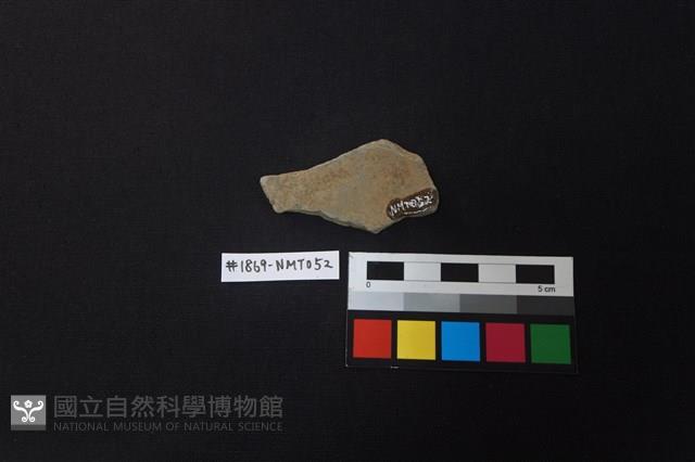 陶片藏品圖，第2張