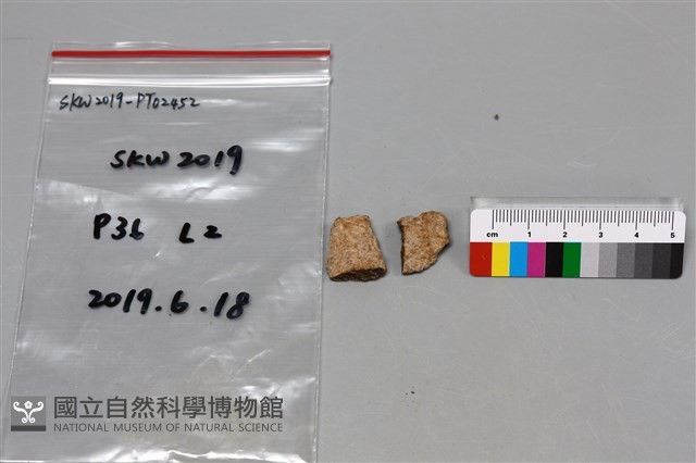 陶片藏品圖，第2張