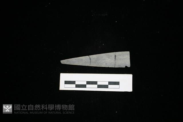 矛鏃形器藏品圖，第2張