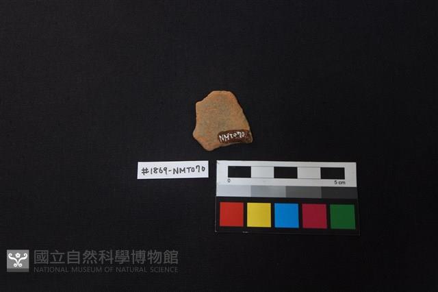 陶片藏品圖，第2張