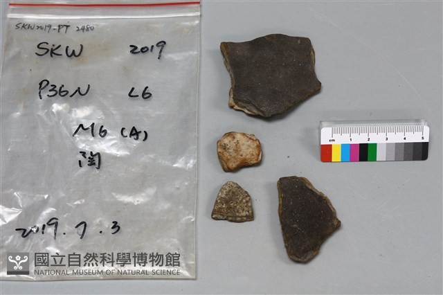 陶片藏品圖，第2張