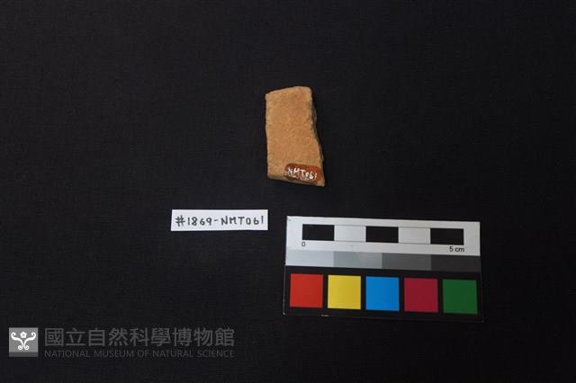 陶片藏品圖，第2張