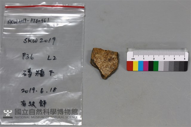 陶片藏品圖，第2張