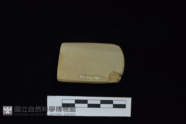 錛鑿形器藏品圖，第2張
