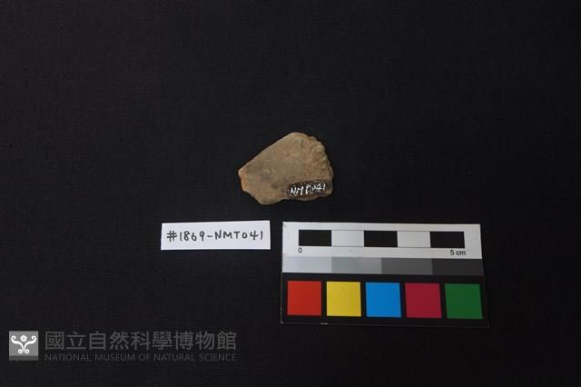 陶片藏品圖，第2張