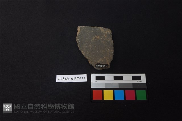 陶片藏品圖，第2張