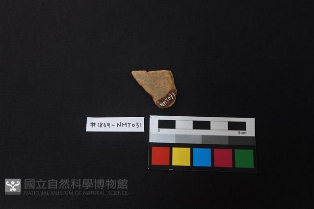 陶片藏品圖，第2張