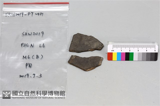 陶片藏品圖，第2張