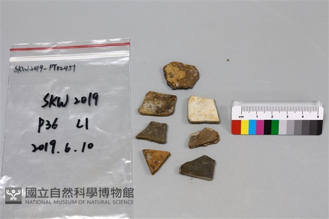 陶片藏品圖，第2張