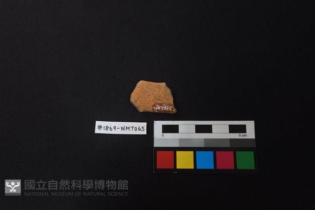 陶片藏品圖，第2張