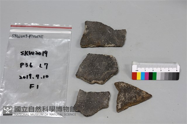 陶片藏品圖，第2張