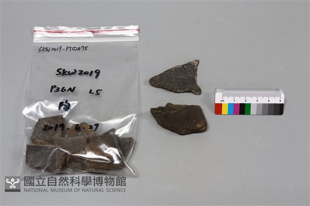 陶片藏品圖，第2張