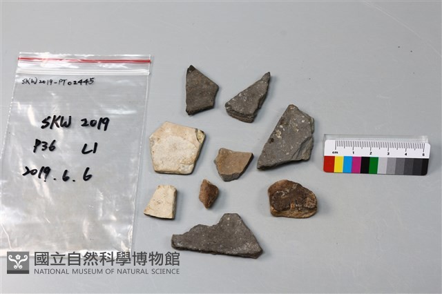 陶片藏品圖，第2張