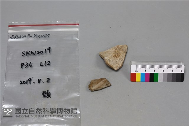 陶片藏品圖，第2張