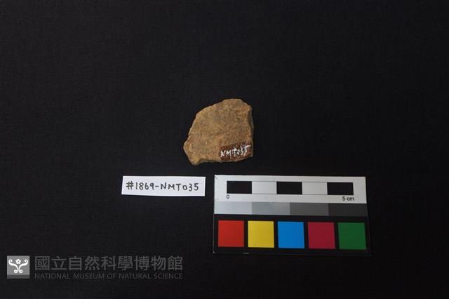 陶片藏品圖，第2張