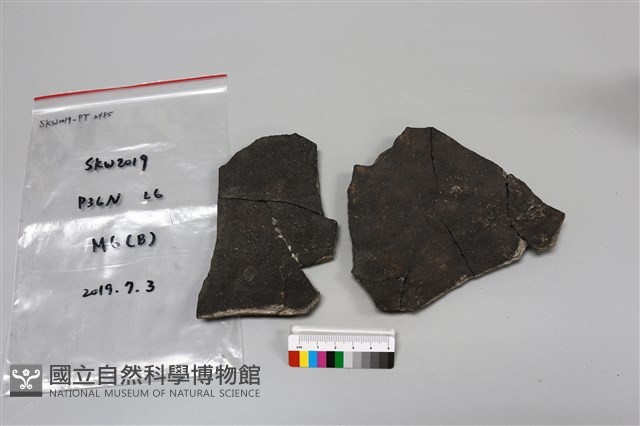 陶片藏品圖，第2張
