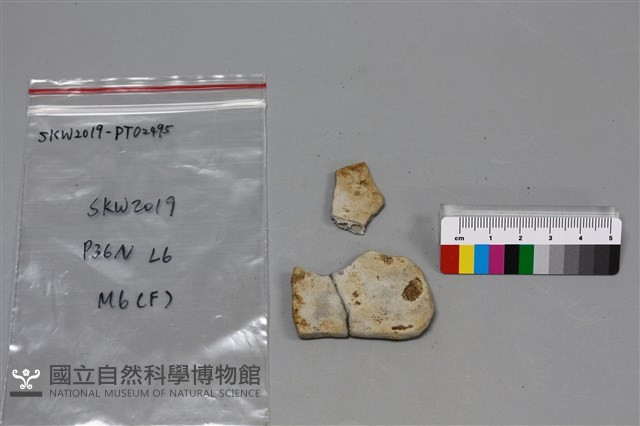 陶片藏品圖，第2張