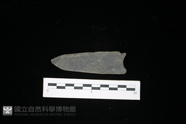 矛鏃形器藏品圖，第2張