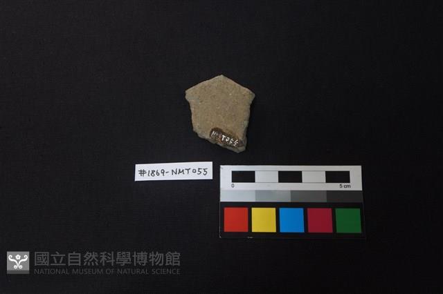 陶片藏品圖，第2張