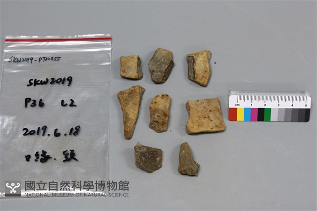 陶片藏品圖，第2張