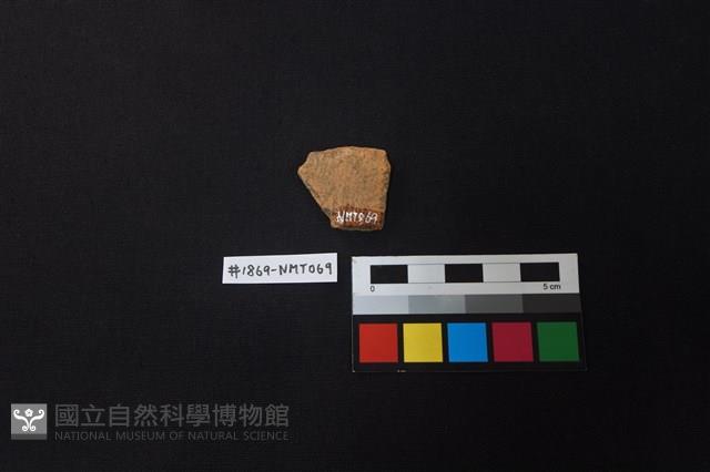 陶片藏品圖，第2張