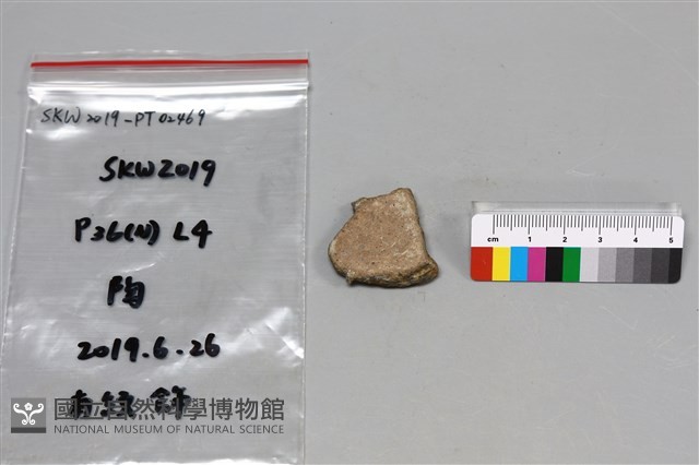 陶片藏品圖，第2張