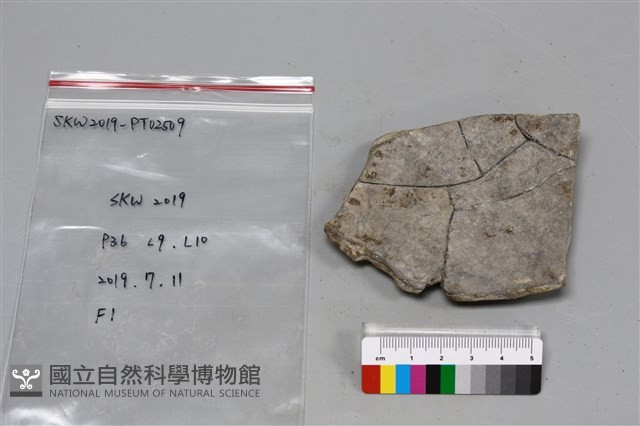 陶片藏品圖，第2張