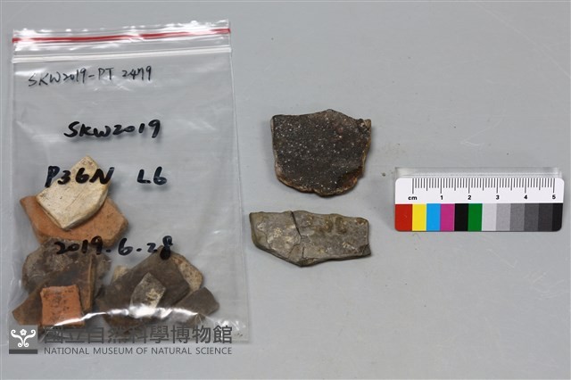 陶片藏品圖，第2張