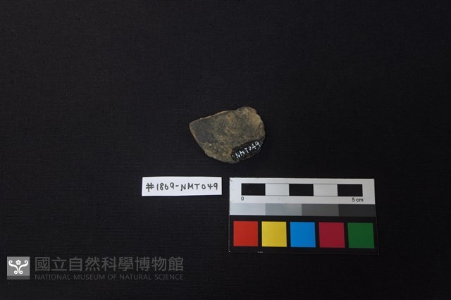 陶片藏品圖，第2張