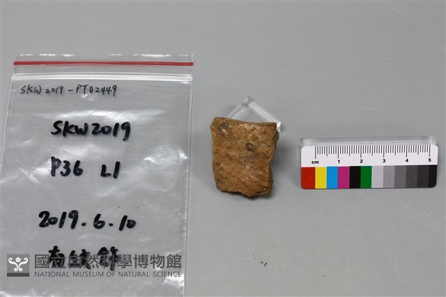 陶片藏品圖，第2張