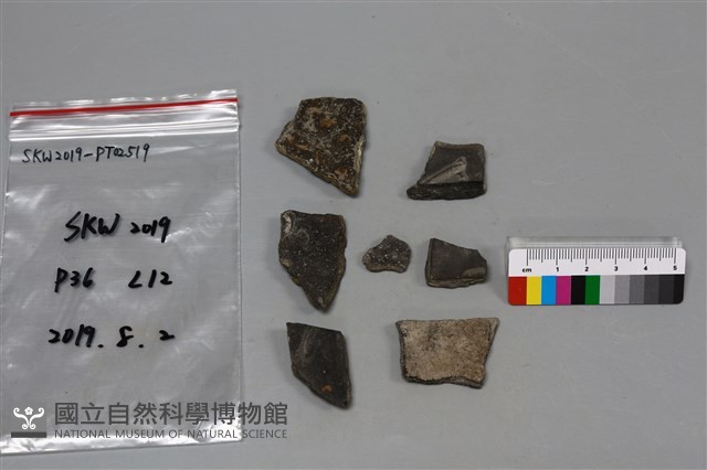 陶片藏品圖，第2張