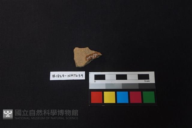 陶片藏品圖，第2張