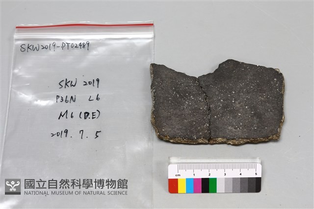 陶片藏品圖，第2張