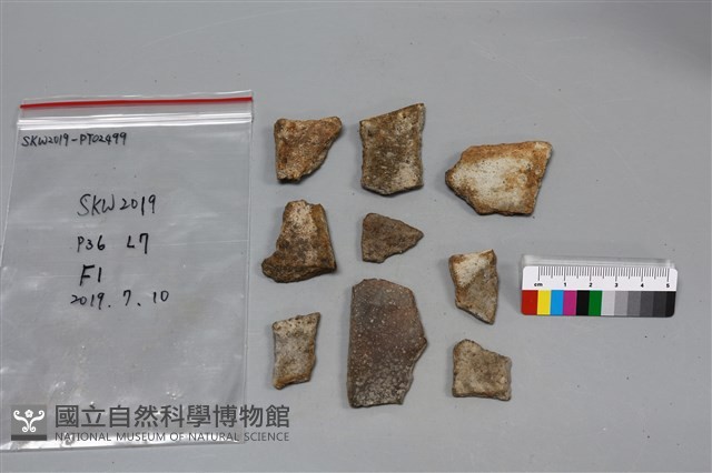 陶片藏品圖，第2張