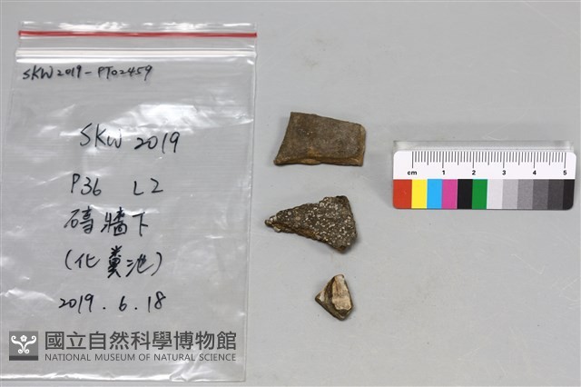 陶片藏品圖，第2張