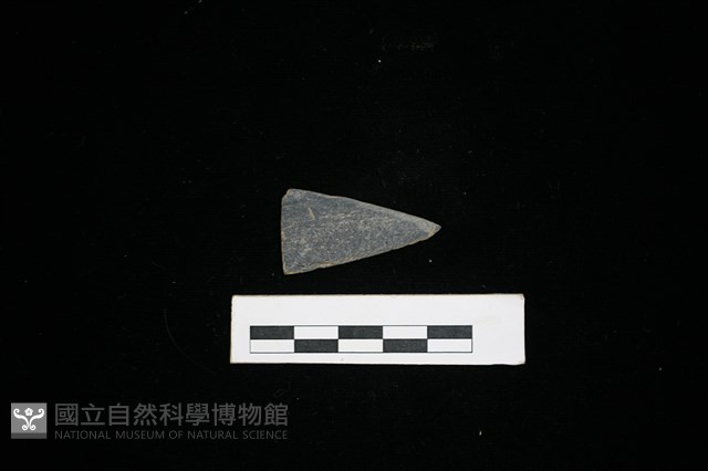 矛鏃形器藏品圖，第2張