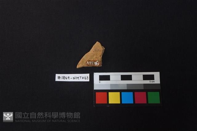 陶片藏品圖，第2張