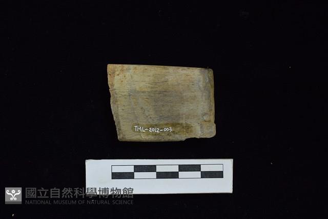 錛鑿形器藏品圖，第2張