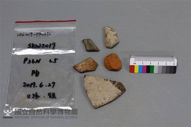 陶片藏品圖，第2張