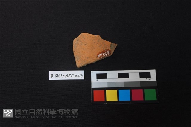陶片藏品圖，第2張