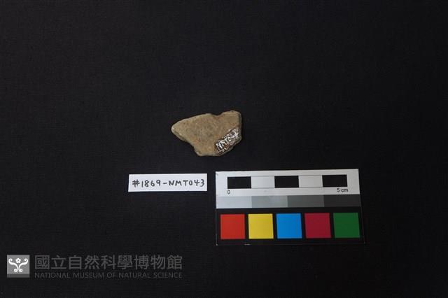 Accession Number:NMT043 Collection Image, Figure 2, Total 2 Figures