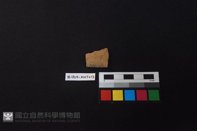 陶片藏品圖，第2張