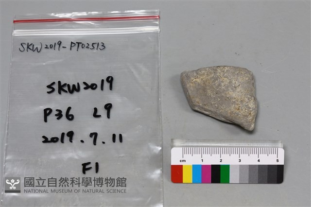 陶片藏品圖，第2張
