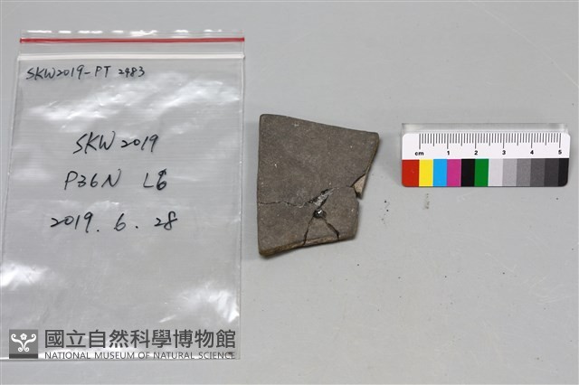 陶片藏品圖，第2張